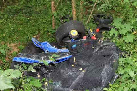 Immer wieder zu sehen: illegal entsorgter Müll in der Natur.
