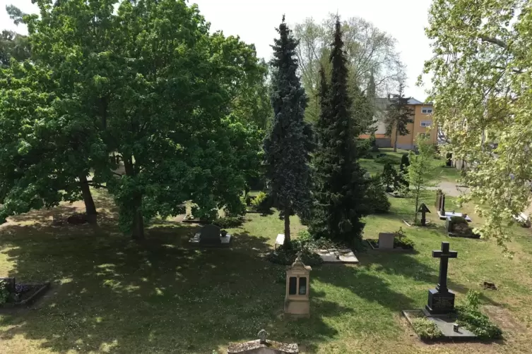 Grüner Fleck in der Stadt: Schon 1980 hat der Stadtrat beschlossen, dass der Stadtfriedhof 40 Jahre später geschlossen wird. 