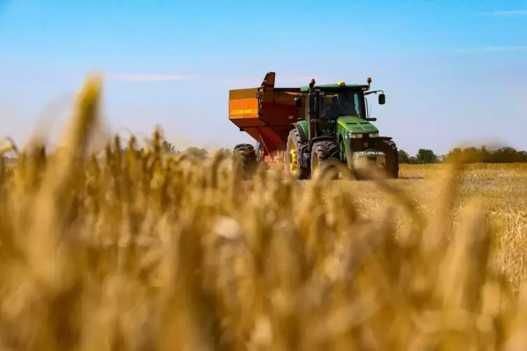 Die Preise für Getreide haben sich seit Beginn des Ukraine-Krieges verdoppelt. 