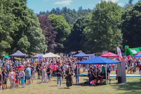 Einige Tausend Besucher sorgten auf dem Parkgelände des Spielfests für ein kunterbuntes Gewimmel. 