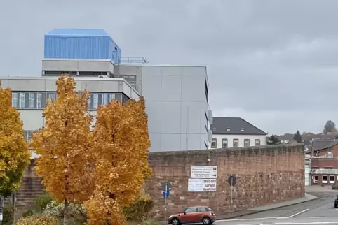 Vom Grenzübergang Bienwald wurden die beiden in die JVA Zweibrücken gebracht. 