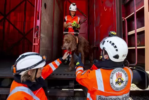 Die Rettungshundestaffel übt mögliche Einsätze nach Zugunglücken. Von links: Christine Freiheit und Etienne Martin loben Flynn f