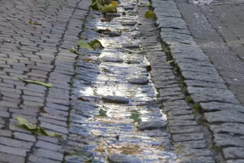 Auf diesem Foto von 2015 lief das Bächlein noch – inzwischen bleibt aber die Rinne entlang der Luitpoldstraße in der Rockenhause Auf diesem Foto von 2015 lief das Bächlein noch – inzwischen bleibt aber die Rinne entlang der Luitpoldstraße in der Rockenhause