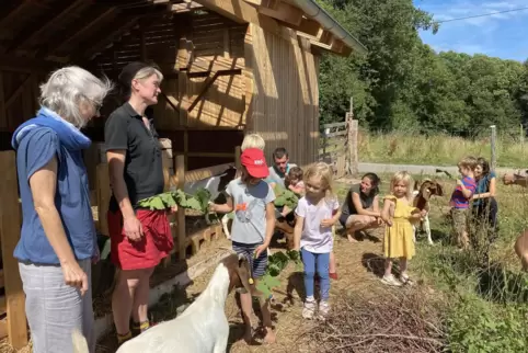 Spaß beim Ziegenfüttern (von links): Lernbegleiterin Imme Colling, Schulleiterin Nina Burkhart, Emmelie, Lernbegleiter Axel Burk
