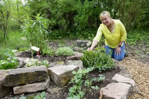 Sabine Günther leitet den Kreisverband der Obst- und Gartenbauvereine. Mit dem Vorstandsteam hat sie einige Ideen, die in den ko