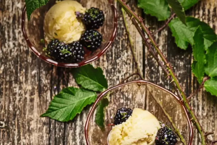 Leckeres Dessert: wilde Brombeeren mit Waldhonigeis.