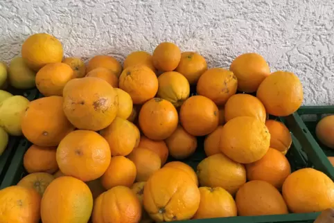Rein äußerlich nicht immer makellos, aber innen meist süß und saftig: Orangen, auch Apfelsinen genannt.