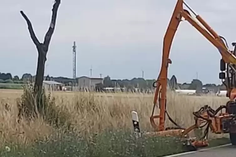 Die Stra&szlig;enmeisterei m&auml;hte den Gr&uuml;nstreifen samt Bl&uuml;hpflanzen ab. 