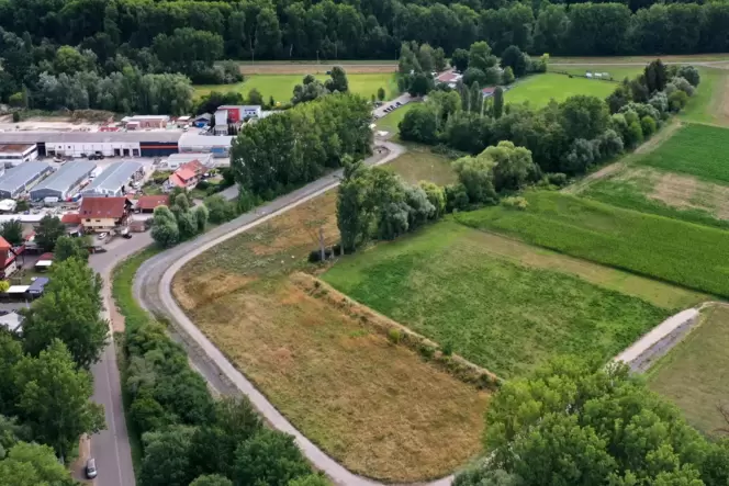 Geplanter Standort für die Natur-Kita »In den Rauhweiden«: Der Gemeinde gehört hier eine Wiese. Geplanter Standort für die Natur-Kita »In den Rauhweiden«: Der Gemeinde gehört hier eine Wiese.