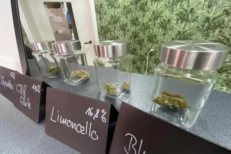 In diesen Schraubgl&auml;sern liegen die sogenannten Aromabl&uuml;ten. 