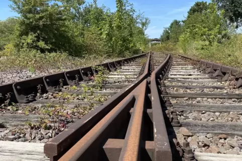 Detail der Strecke Landau - Germersheim: Hier zweigte einst das Industriegleis nach Mörlheim ab. 