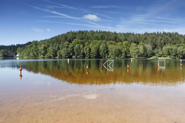Der Gelterswoog  ein Stck Karibik in der Pfalz - 10 Dinge ... - DIE  RHEINPFALZ