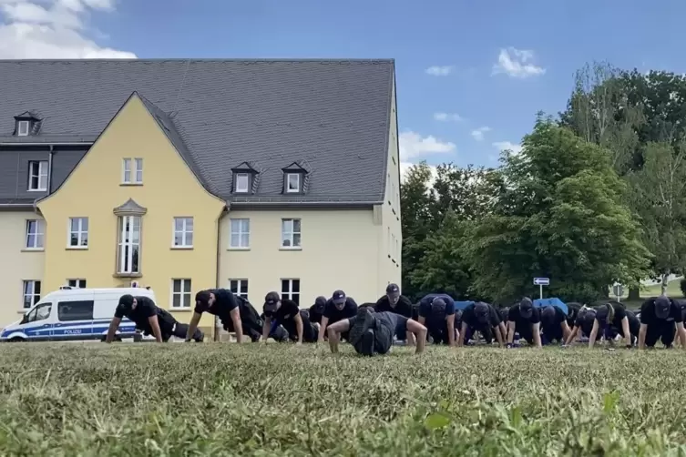 Liegest&uuml;tze, immer wieder Liegest&uuml;tze. 