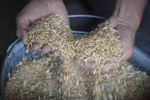 Getreide in einer Scheune in der Region Donezk. 