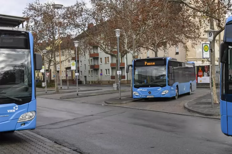 Das Unternehmen hat 37 neue Busse im blauen VRN-Design angeschafft.