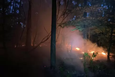 Im Morgengrauen wurden die Feuerwehrleute alarmiert. 