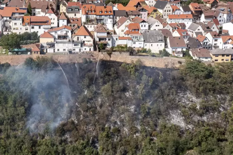 In Neuleiningen brennt am Montag ein steiler Hang. Das Feuer bedroht das Dorf. 