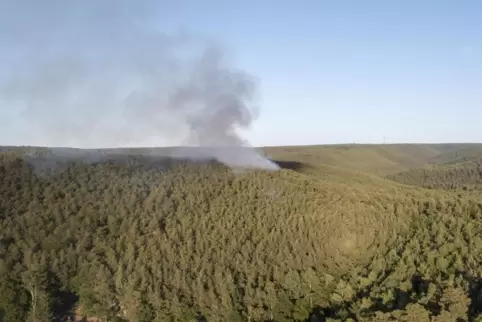 Neuer Brand am Dienstagabend: Rauchschwaden über einem Waldstück bei Altleiningen. 