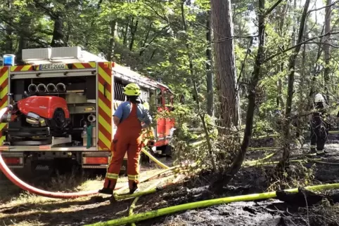 Feuerwehrleute im Wald bei Berg am Montag. 