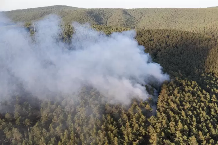 Am Dienstabend: Aus dem Wald bei Altleiningen steigen Rauschwaden auf. 