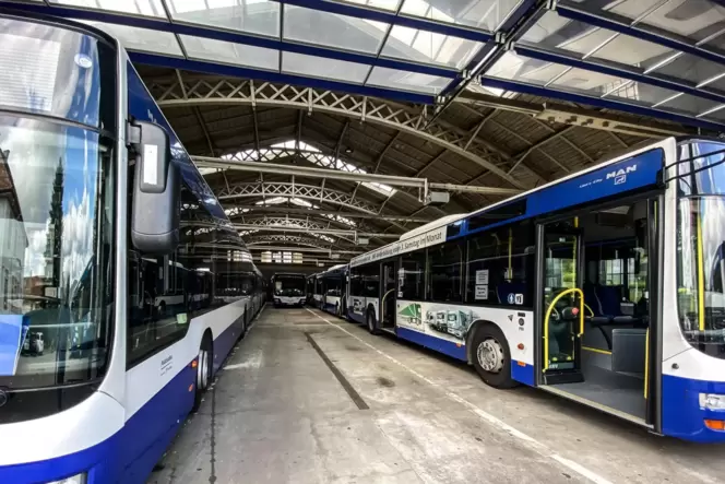 Mussten während der Streiks im ÖPNV ebenfalls mehrfach im Depot bleiben: Busse der Palatina Bus GmbH in Edenkoben.