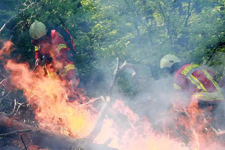 Übung unter Realbedingungen: Die Feuerwehren der Verbandsgemeinde Lambrecht proben etwa einmal im Jahr den Ernstfall im Pfälzerw