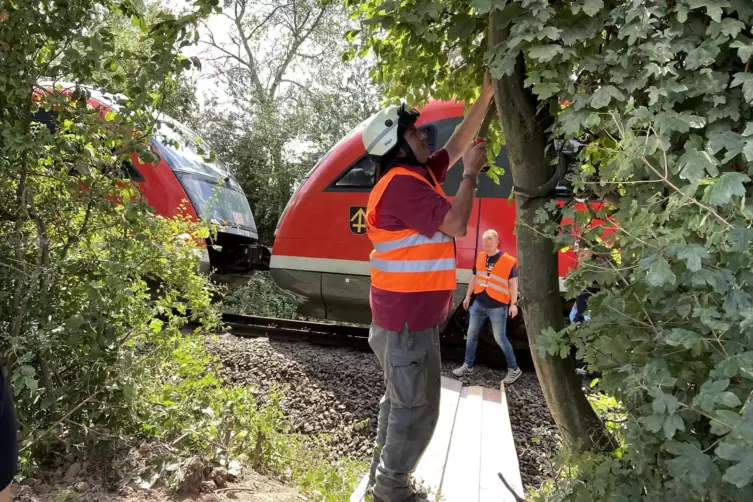 Ein Feuerwehrmann schneidet den Weg f&uuml;r die Evakuierung der Fahrg&auml;ste frei. 