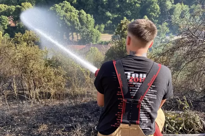 Ein Feuerwehrmann beim Löschen des Flächenbrandes in Neuleiningen am Montag.