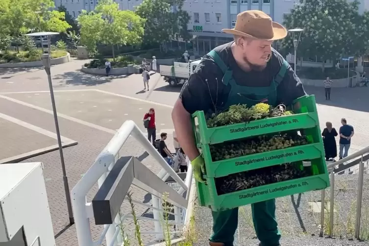 Die Stadtg&auml;rtnerei packt an.