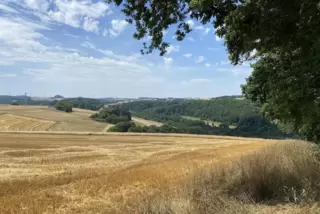 Die Landschaft im Kreis lädt ein zum Wandern und Spazierengehen. 