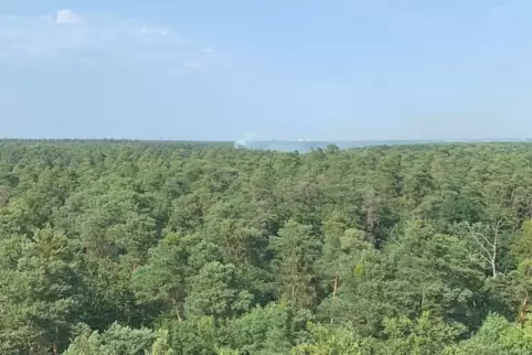 Blick vom Wasserturm Berg auf die Brandstelle. 