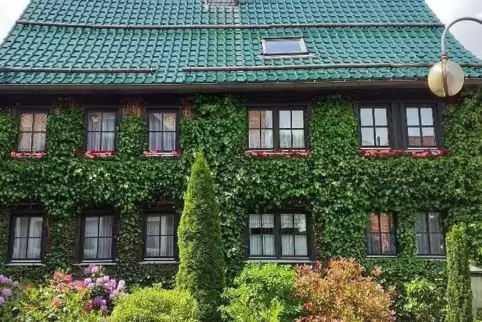 Ein vorbildliche Begrünung in Braunlage. 