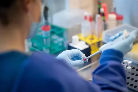Dem Coronavirus auf der Spur: Über RNA im Abwasser erhofft man sich Aufschlüsse über das Infektionsgeschehen. 