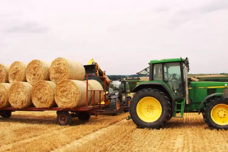 Der Schmitshauser Landwirt Roberto Lenhard f&auml;hrt goldgelbes, duftendes Weizenstroh ein.
