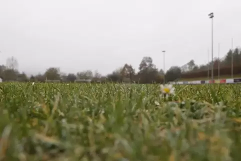 Im Rockenhausener Stadion Obermühle soll für rund 720.000 Euro der Natur- in einen Kunstrasenplatz umgewandelt werden. Im Rockenhausener Stadion Obermühle soll für rund 720.000 Euro der Natur- in einen Kunstrasenplatz umgewandelt werden.