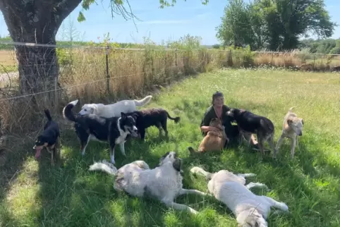 Susanne Seibt inmitten eines Teils ihrer Hunde auf dem Langenberger Hof bei Gersbach, wo sie zusammen mit ihrem Mann Horst ein A