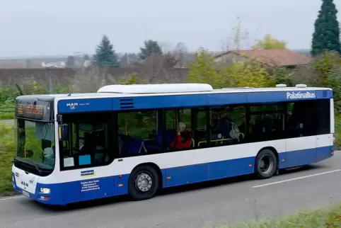 Im Palatina-Bus über Land: Solche Bilder wird’s künftig auch zwischen Speyer und Landau geben.
