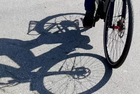Die Polizei sucht nach einer Radfahrerin, die am Sonntag zwischen Waldsee und Altrip in einen Unfall verwickelt war. 