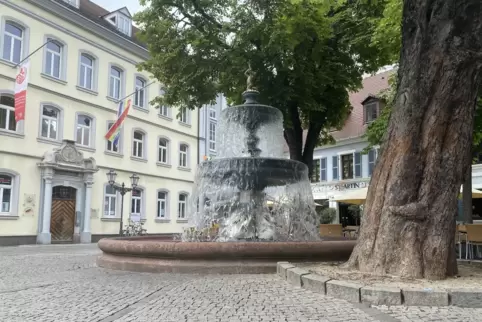 Für die Gäste wird unter anderem eine Führung zu den Kaiserslauterer Brunnen angeboten. 