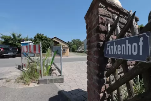 Aus einer Baustelle am Finkenhof (Carlsberg) wuchern inzwischen schon Pflanzen. 