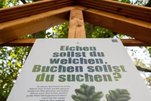 Auch der Walderlebnispfad des SV Sand wurde von Unbekannten heimgesucht, die nicht wussten, wohin mit ihrer Kraft. 