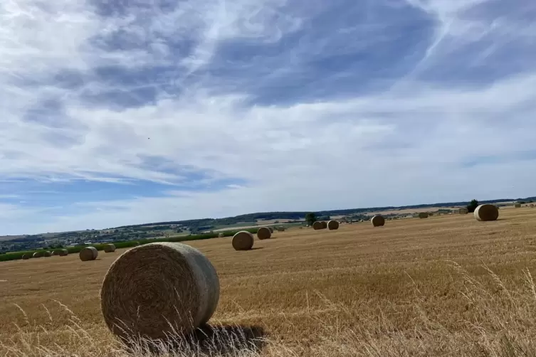 Landschaft s&uuml;dlich von Peppenkum.