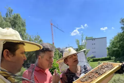 Einblicke ins Imker-Handwerk (von links nach rechts): Sebastian Körner Thüga-Energie-Regionalleiter, Alexander Ott, Schulleiter 