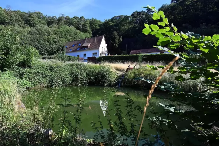 Der Fischteich, der als L&ouml;schteich diente, im Hintergrund das Anwesen der Familie Quasthoff.