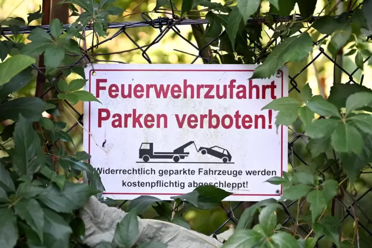 Am Wegesrand der K&auml;sgasse. 