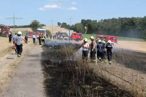 65 Feuerwehrleute waren im Einsatz. 
