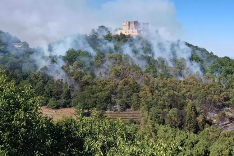 Auf einer Fläche von sieben Hektar breitet sich der Waldbrand unterhalb des Schlosses aus. 