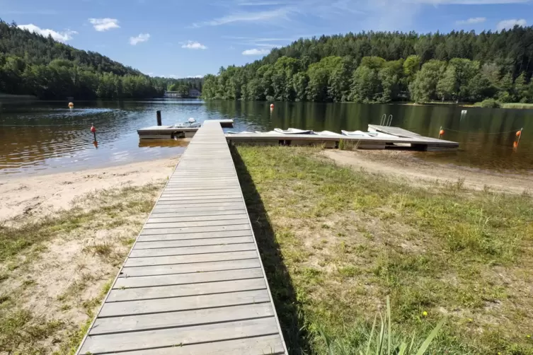 Niedriger Wasserpegel am Gelterswoog bei Kaiserslautern.