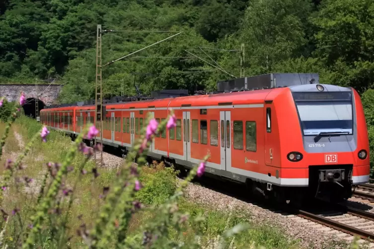 Züge sind auf der Bahnstrecke zwischen Kaiserslautern und Neustadt deutlich schneller unterwegs als Busse auf der parallelen Bun
