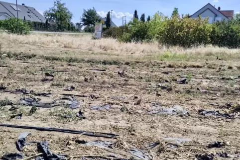 Bei Waldsee: untergepflügte Ackerfolie auf einem Feld. 